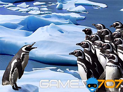 Diapositive sur les pingouins