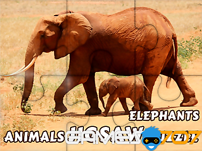 Animali Jigsaw Puzzle Elefanti